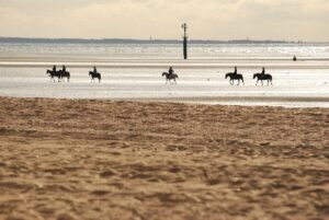 chevaux plage coucher de soleil